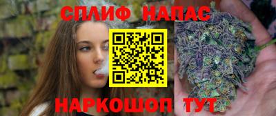 твердый Ставрополь